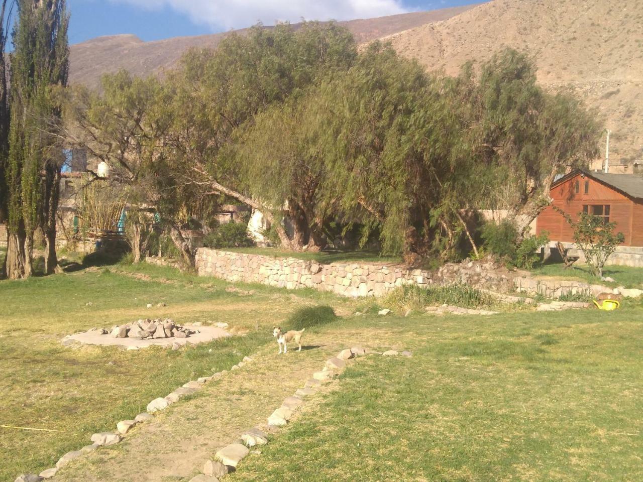 Holiday home Del Huasamayo *